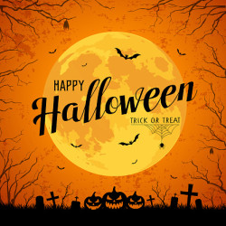 test Happy Halloween message yellow full moon and bat on tree with rough surface background, vector illustration